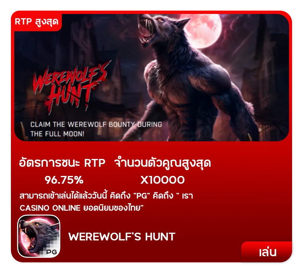 เกมPG11-1